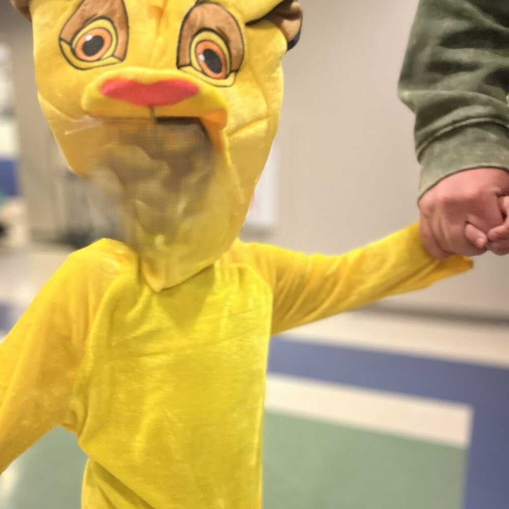 Simba Costume Size 3T